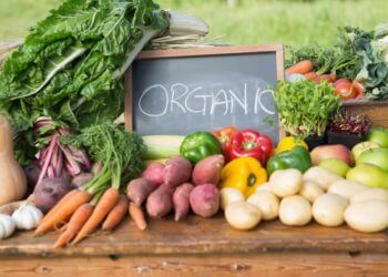 Organic Food Market Size, Share, Trends, Growth, Key Countries Analysis, Leading Players and Forecast to 2025