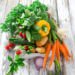 The Best Probiotics