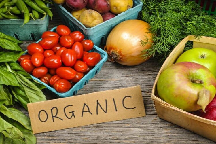 Global Organic Food Additives Market Business Growth 2019 – DuPont, Archer Daniels Midland Company , Cargill