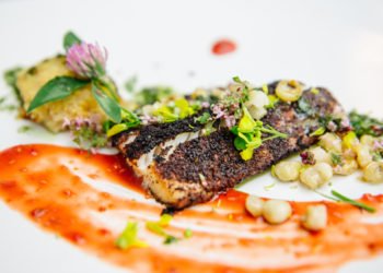 Meet the Women Behind Minneapolis’s Food Revolution
