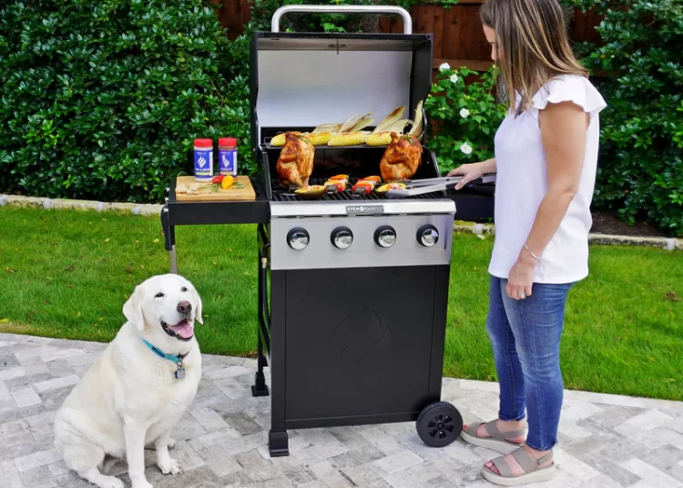 Even Embers Gas Grill for Cooking