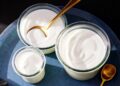 Cocojune Yogurt: The Best Coconut Milk Yogurt Brand
