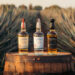 Sip, Savor, and Celebrate with Teremana Tequila: A Guide to the Smoothest Spirit on the Market